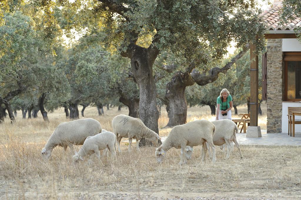 Finca Las Abubillas Jaraicejo Екстер'єр фото